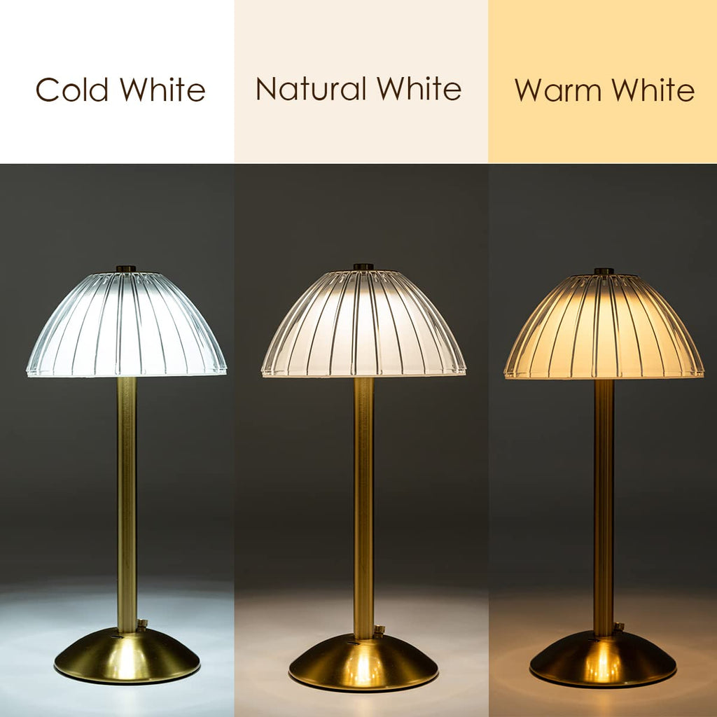 Domiq: Cordless Rechargeable LED Table Lamp, Touch Dimmer, Soft Glow, Portable for Dining, Bedroom, Desk & Outdoor Use