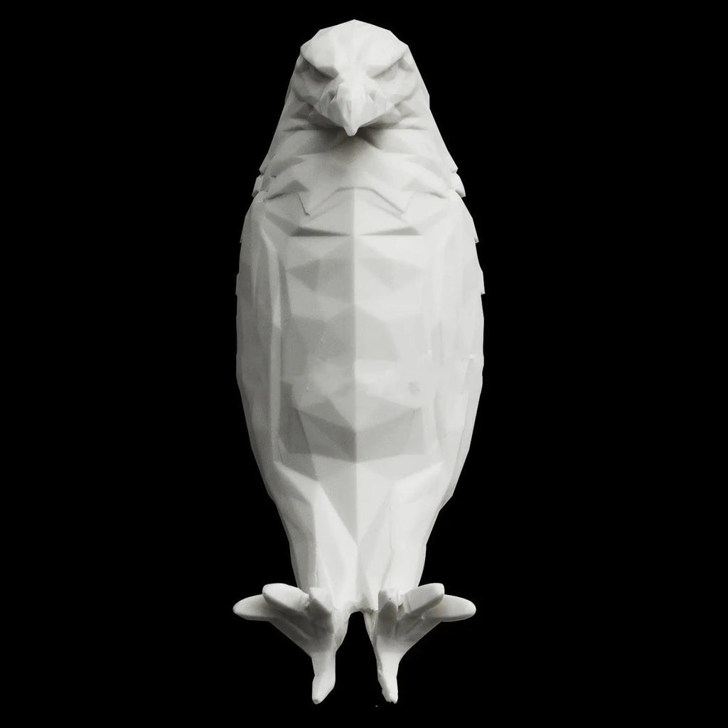 Raptor: Wall-Mounted 3D Eagle Shadow LED Lamp for Night Light & Statement DÃ©cor